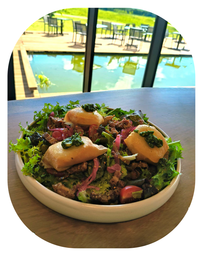 Plat du jour -la Table aux Daims - Golf aux Daims en Normandie